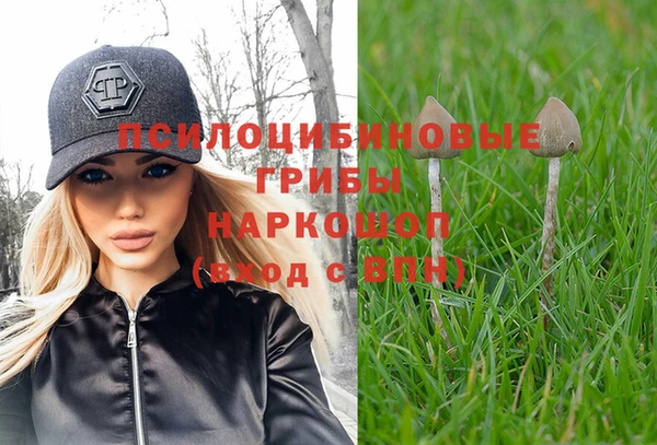 мескалин Алексин