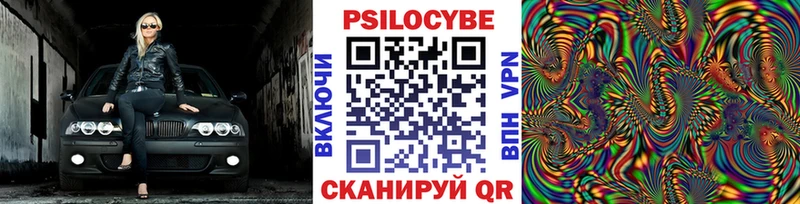 Галлюциногенные грибы Cubensis  мега маркетплейс  Ставрополь 