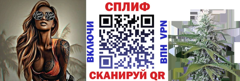Конопля White Widow  как найти наркотики  Ставрополь 